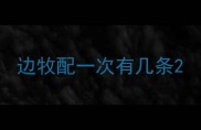 边牧配一次有几条