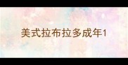 美式拉布拉多成年
