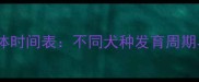 狗狗停止长高具体时间表不同犬种发育周期与科学养护指南