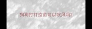 狗狗打打疫苗可以吹风吗