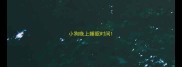小狗晚上睡眠时间
