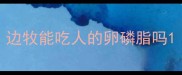 边牧能吃人的卵磷脂吗