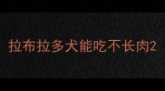 拉布拉多犬能吃不长肉
