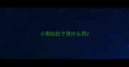 小狗拉肚子用什么药
