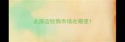 太原边牧狗市场在哪里