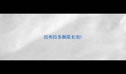 拉布拉多脚底长泡