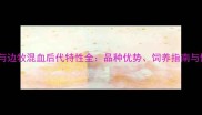 拉布拉多与边牧混血后代特性全品种优势饲养指南与健康养护