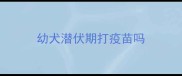 幼犬潜伏期打疫苗吗