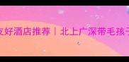 最全宠物友好酒店推荐北上广深带毛孩子出行攻略