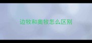 边牧和奥牧怎么区别