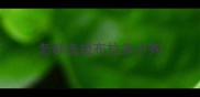 怎样选拉布拉多小狗