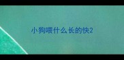 小狗喂什么长的快
