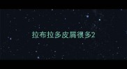 拉布拉多皮屑很多