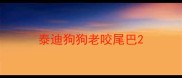 泰迪狗狗老咬尾巴