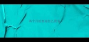 两个月的泰迪怎么教育