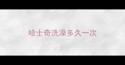 哈士奇洗澡多久一次