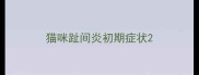 猫咪趾间炎初期症状