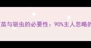 家养猫疫苗与驱虫的必要性90主人忽略的生死线