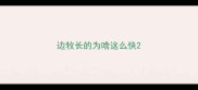 边牧长的为啥这么快