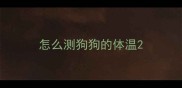 怎么测狗狗的体温