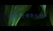 公母哈士奇怎么分