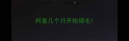 柯基几个月开始褪毛