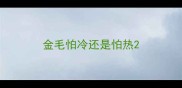 金毛怕冷还是怕热