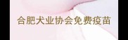 合肥犬业协会免费疫苗