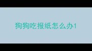 狗狗吃报纸怎么办