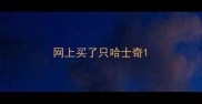 网上买了只哈士奇