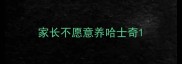 家长不愿意养哈士奇