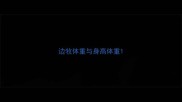 边牧体重与身高体重