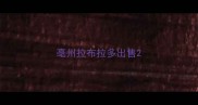 亳州拉布拉多出售