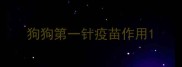 狗狗第一针疫苗作用