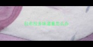 拉布拉多味道重怎么办