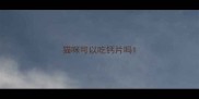 猫咪可以吃钙片吗