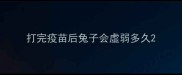 打完疫苗后兔子会虚弱多久