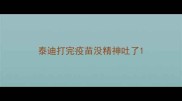 泰迪打完疫苗没精神吐了