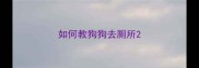 如何教狗狗去厕所