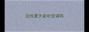 边牧夏天能吹空调吗