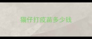 猫仔打疫苗多少钱
