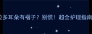 拉布拉多耳朵有褶子别慌超全护理指南来了