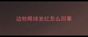 边牧眼球发红怎么回事