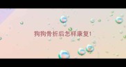 狗狗骨折后怎样康复