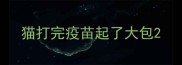 猫打完疫苗起了大包