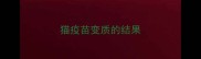 猫疫苗变质的结果