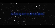 拉布拉多买什么颜色好看吗