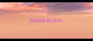 拉布拉多母大名字
