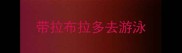 带拉布拉多去游泳