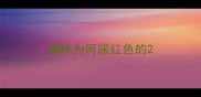 猫咪为何尿红色的